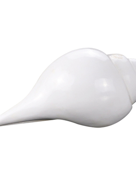 藏式右旋白海螺佛前法器