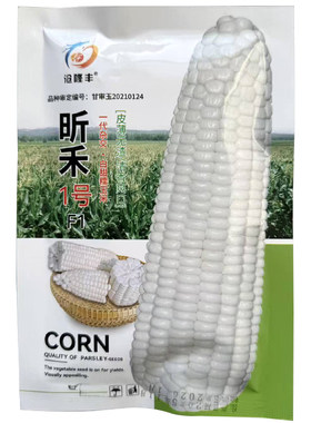 白甜糯玉米种子高产四季播白糯玉米非转基因国审超甜加糯玉米种子