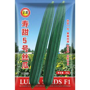 和利农 正源寿甜5号棱丝瓜种子杂交早熟角瓜种籽子农家高产蔬菜孑