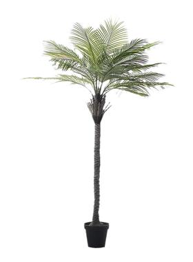 西西里仿真绿植别墅庭院景观树