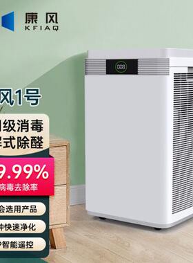康风空气净化器1号/除病毒杀菌除甲醛雾霾PM2.5家用卧室办公室