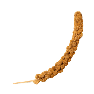 鹦鹉天然谷穗带壳黄谷子小米玄凤虎皮专用品饲料珍珠鸟粮零食大全