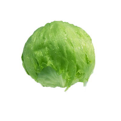 新鲜球生菜槿馐汉堡沙拉煎饼