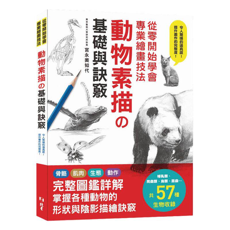 预售外图台版从零开始学会专业