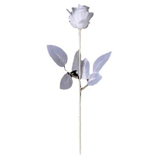 哥特黑玫瑰花拍摄道具白黑色假干花束仿真拍照不良jk手持扇子枯萎