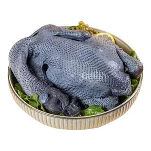 乌鸡新鲜现杀滋补鸡整只土鸡正宗农家散养走地鸡月子鸡白凤乌骨鸡