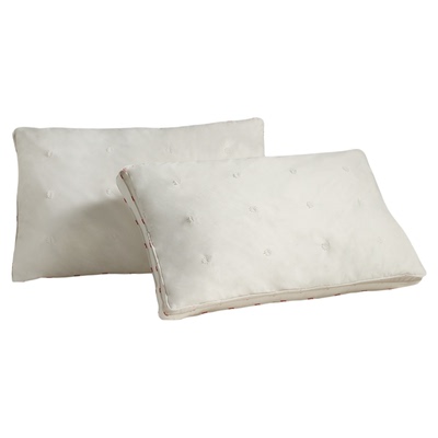 Paradies德国美容蚕丝枕