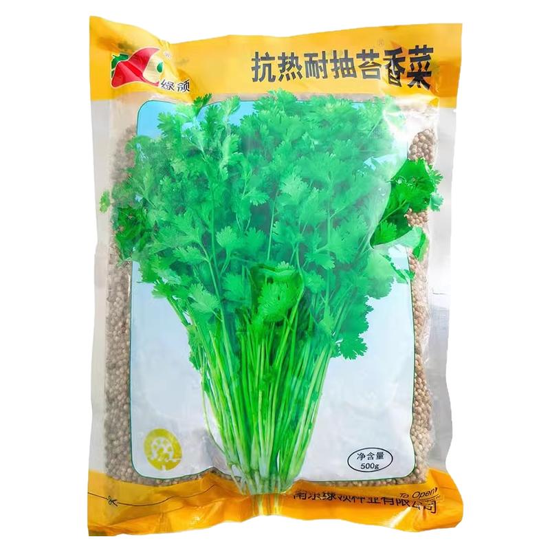 进口香菜种子500g出芽快大叶蔬菜