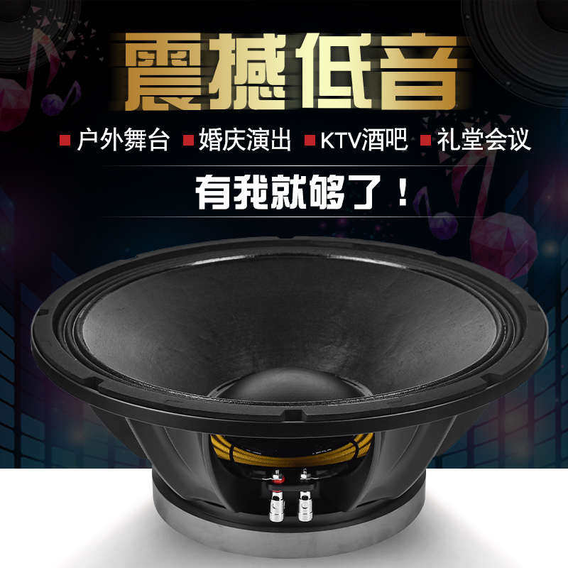 雷顿BM15寸低音喇叭220磁100芯800瓦全频大功率单双十五音箱重低