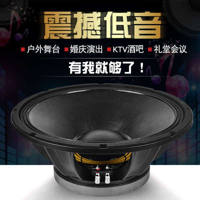 雷顿BM15寸低音喇叭220磁100芯800瓦全频大功率单双十五音箱重低
