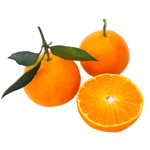 四川蒲江正宗有机爱媛果冻橙38号鲜嫩清甜爆汁可剥皮无农药水果