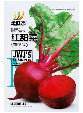 红甜菜紫菜头种子营养丰富可生食
