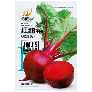 红甜菜紫菜头种子红菜头菜根种籽春秋农家营养丰富榨汁生食蔬菜孑