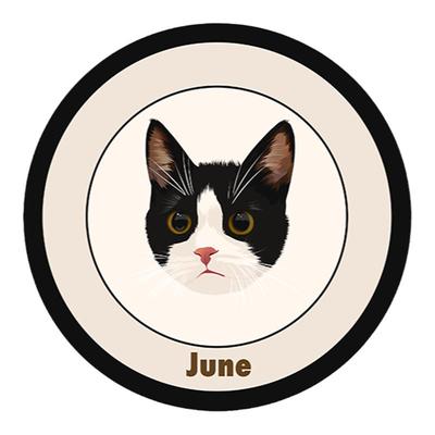 POOJI宠物定制地毯来图DIY礼物