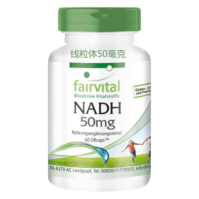德国现货高能NADH线粒体素抗龄