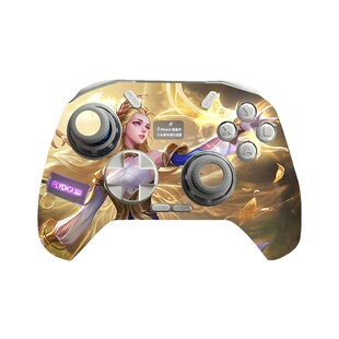 适用飞智八爪鱼4贴纸飞智冰原狼黑武士2/3/4Pro手柄定制保护痛贴