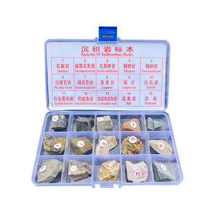 地质队直采45种三大类岩石水成沉积岩变质岩火成岩浆岩博物馆科普
