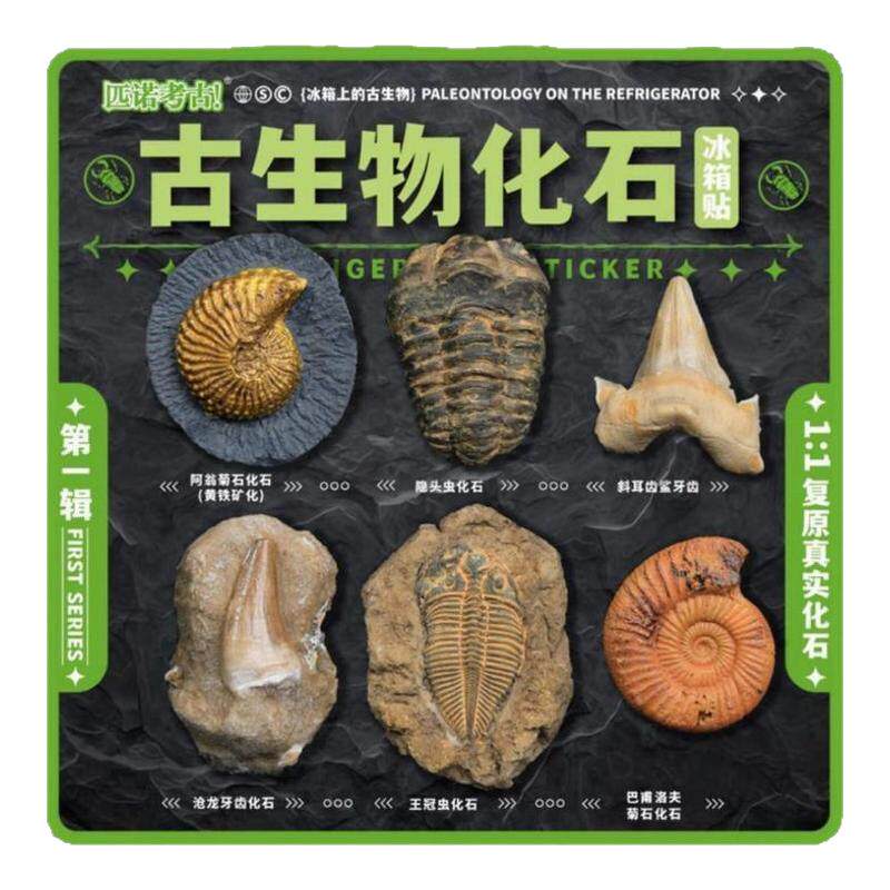 古生物化石树脂冰箱贴