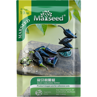 多瑙河畔匈牙利黑椒种子种苗中辣烟熏香味新手盆栽特色蔬菜B207