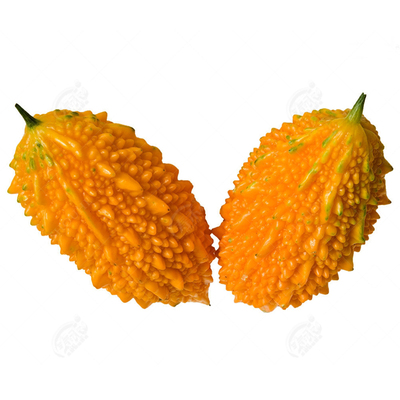 金铃子赖葡萄金癞瓜种子种籽苗四季金玲子秧苦瓜幼苗蔬菜孑癞秧苗