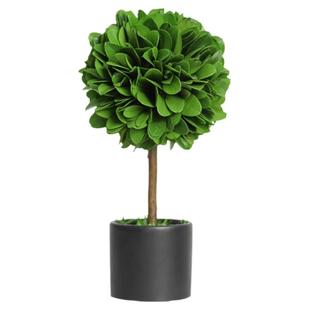 ins小绿植办公室桌面永生植物工位解压摆件室内客厅盆栽玄关装饰