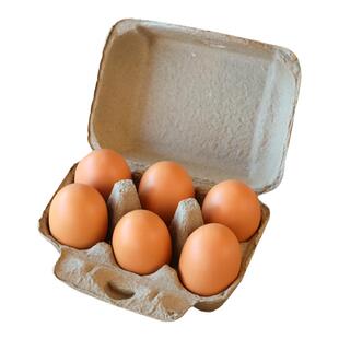 鸡蛋包装盒6/9/10/12枚免折叠开关黄色篮子打包托纸浆生物可降解