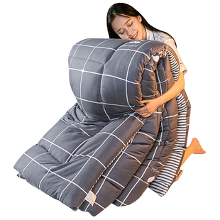 被子春秋被四季通用被芯夏学生宿舍单人被褥冬被加厚保暖冬季棉被