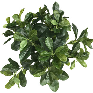 仿真叶子福禄桐叶植物墙过胶绿叶把束装饰叶盆景工程摆放绿植树叶