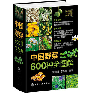 便携小开本 中国野菜600种全图解 野生植物分布食用方法药用保健特征识别科普读物彩色图鉴 药食同源健康饮食营养食疗养生一本通书