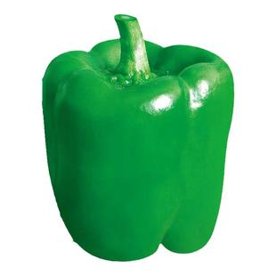 绿月甜椒种子种籽彩色苗秧辣椒秧苗四季彩椒菜椒灯笼椒孑子籽种