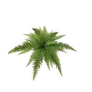 仿真蕨类植物森系装饰小草把束自然风室内装饰高端波斯草假小草