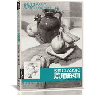 经典全集 素描静物组合临摹书籍美术基础技法结构到位绘画册照片风暴高艺联考主导陈敲平陶罐门砖教学程材大八开范本正版杨建飞