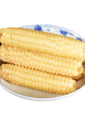 【新鲜甜糯】正宗版纳拇指玉米
