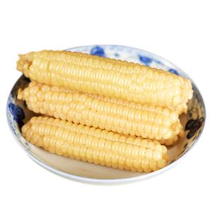 【新鲜甜糯】正宗版纳拇指玉米