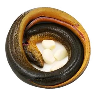 正宗野外千岛湖土黄鳝新鲜黄鳝鲜活活体黄鳝鱼活鱼现捕现抓鳝鱼