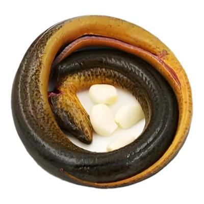 正宗千岛湖野外现抓土黄鳝