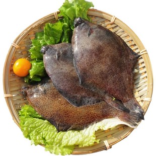 3斤青岛鼓眼鱼鲜活新鲜冷冻小鼓眼鱼高眼鱼蝶鱼偏口鱼比目鱼海鱼