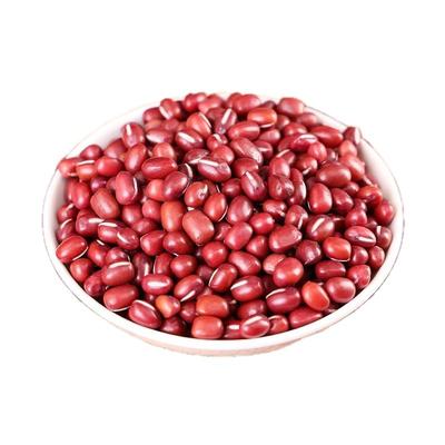 2025新东北红豆5斤农家赤红小豆