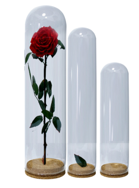 diy自制玫瑰干花玻璃罩包邮摆件