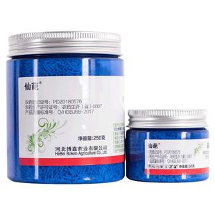 仙葩小白药呋虫胺多肉蚧壳虫防虫药花卉月季兰花小黑飞通用杀虫剂