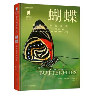 蝴蝶 中国国家地理普林斯顿大学生物图鉴系列图书昆虫蝴蝶自然百科科普读物