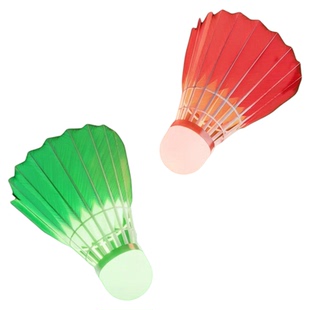 乐动力发光防风真羽毛球带夜光球带灯荧光耐打尼龙球夜间户外夜用