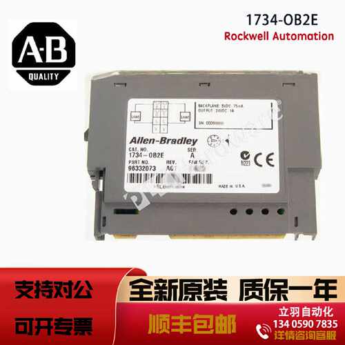 AB 1734-OB2E 罗克韦尔POINT I/O 2 Point Digital Outpu