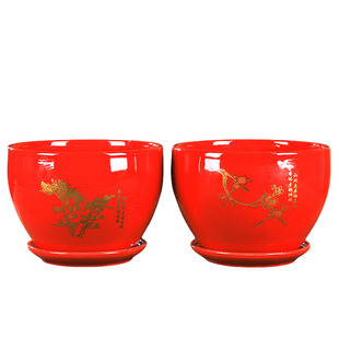 创意喜庆中国红花盆陶瓷带托盘绿植绿萝兰花花器盆栽多肉花盆特价