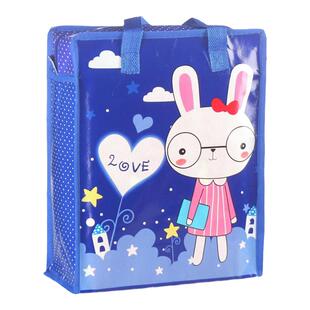 防水无纺布环保袋购物袋拉链手提袋学生外出收纳袋可爱卡通手挽袋