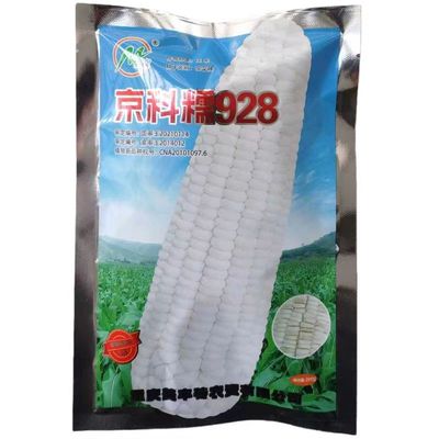 京科糯928甜加糯白玉米种子