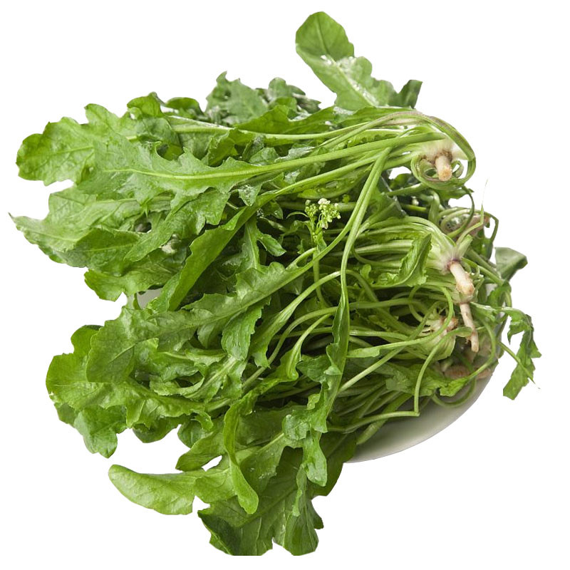 荠菜种子正宗大叶纯野生荠菜老品种春秋冬四季农家青蔬菜种籽大全