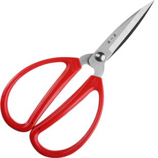 张小泉红色家用剪刀开业剪彩窗花针线刺绣小剪子 9年老店值得信赖