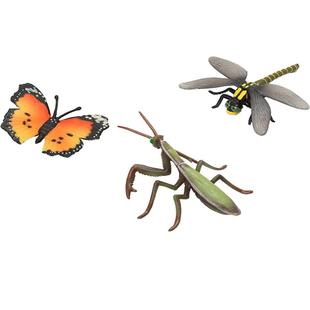 正版仿真动物昆虫玩具模型摆件实心螳螂蜻蜓蜜蜂蟋蟀蝴蝶七星瓢虫