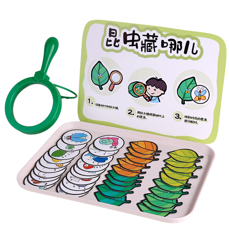 昆虫观察放大镜配对常识卡幼儿园小中班科学区域材料投放玩教具